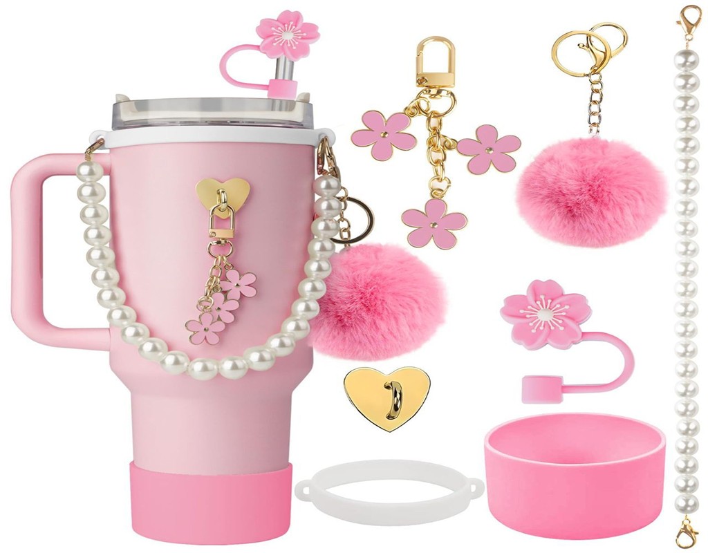 Stanley Cup Accessories